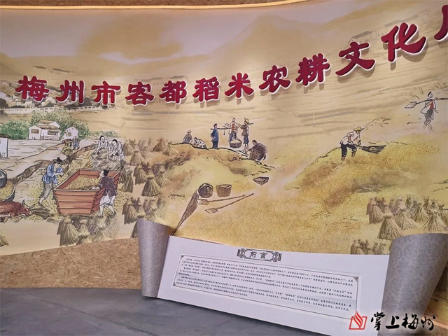 梅州市客都稻米農耕文化展廳，cr網(wǎng)絡
